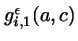 $g_{i,1}^\epsilon(a,c)$